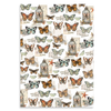 Cabinet Of Curiosities A4 Vellum Paper Pack