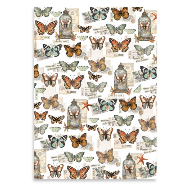 Cabinet Of Curiosities A4 Vellum Paper Pack