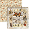 {back soon!} Cabinet Of Curiosities 12x12 Paper Pad