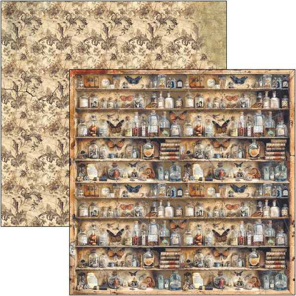 {back soon!} Cabinet Of Curiosities 12x12 Paper Pad