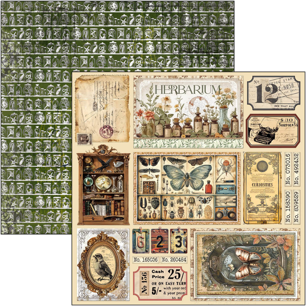 {back soon!} Cabinet Of Curiosities 12x12 Paper Pad