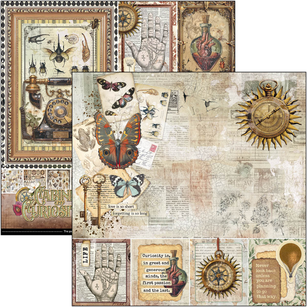 {back soon!} Cabinet Of Curiosities 12x12 Paper Pad