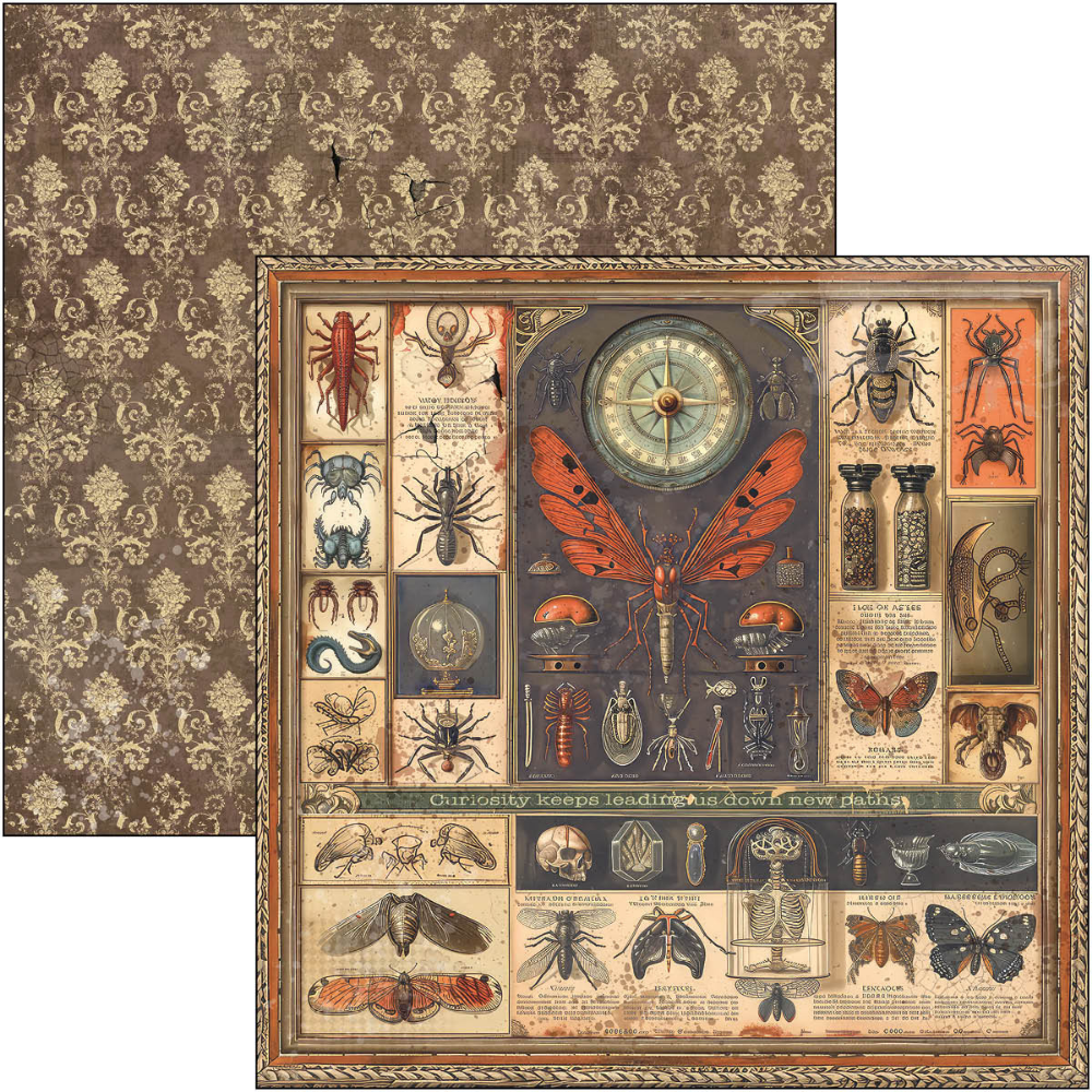 {back soon!} Cabinet Of Curiosities 12x12 Paper Pad