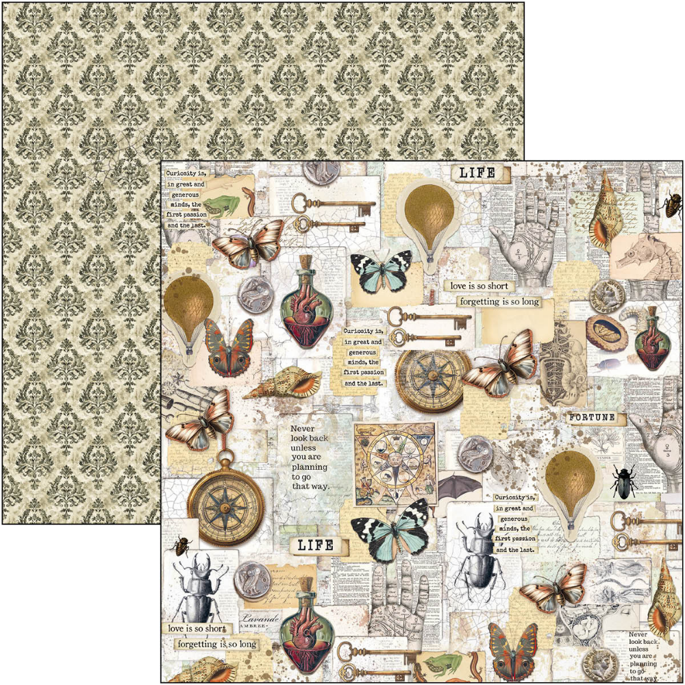 {back soon!} Cabinet Of Curiosities 12x12 Paper Pad