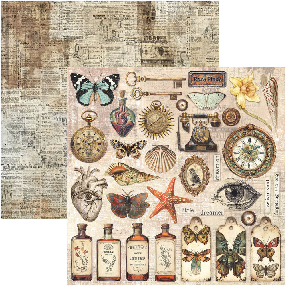 {back soon!} Cabinet Of Curiosities 12x12 Paper Pad