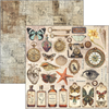 {back soon!} Cabinet Of Curiosities 12x12 Paper Pad