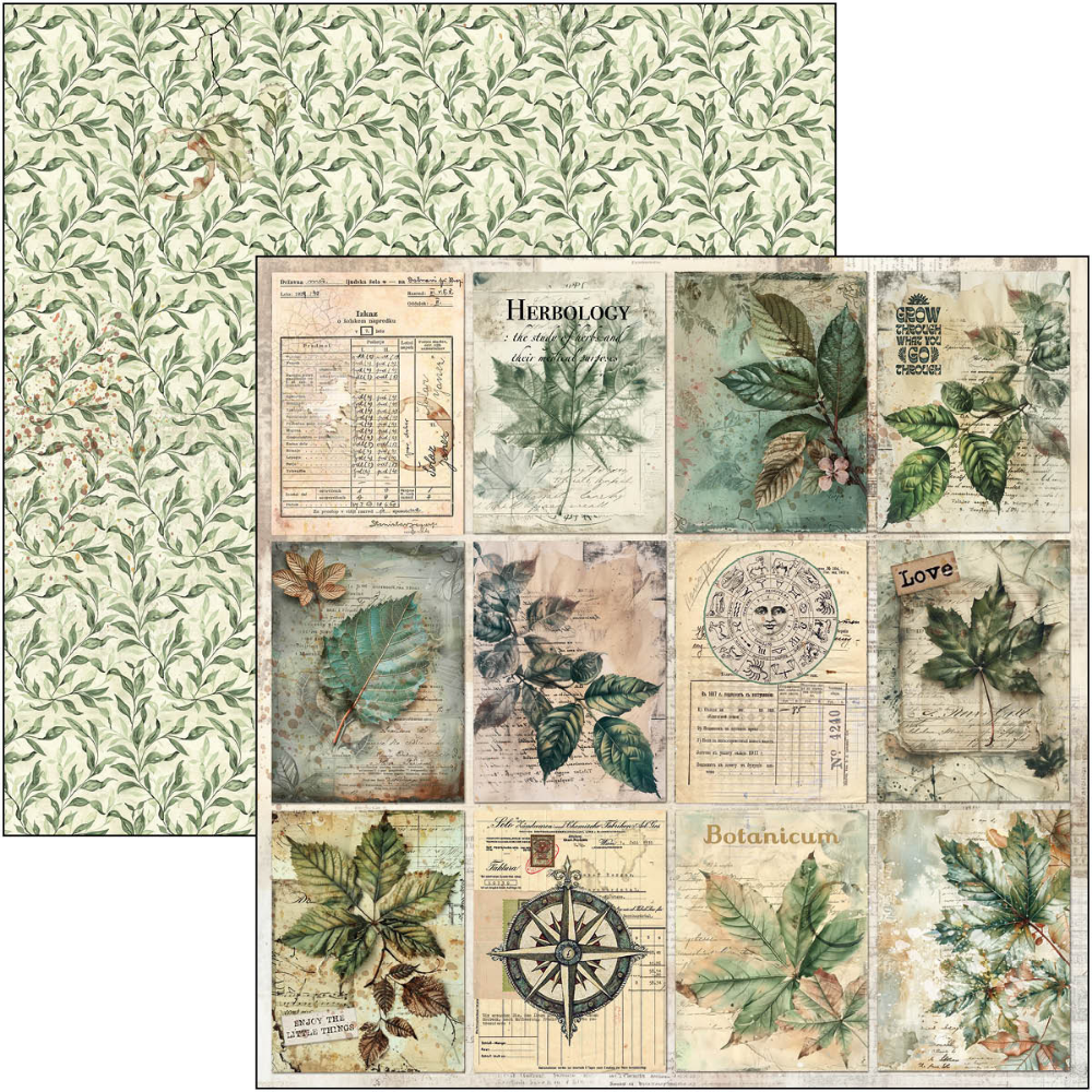 {back soon!} Cabinet Of Curiosities 12x12 Paper Pad