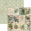 {back soon!} Cabinet Of Curiosities 12x12 Paper Pad