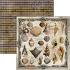 {back soon!} Cabinet Of Curiosities 12x12 Paper Pad