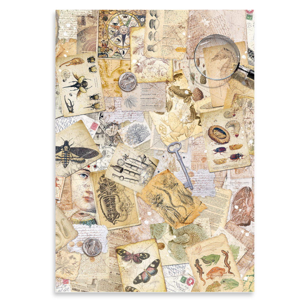 Cabinet of Curiosities A5 Mixed 8pk Rice Paper