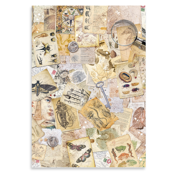 Cabinet of Curiosities A5 Mixed 8pk Rice Paper