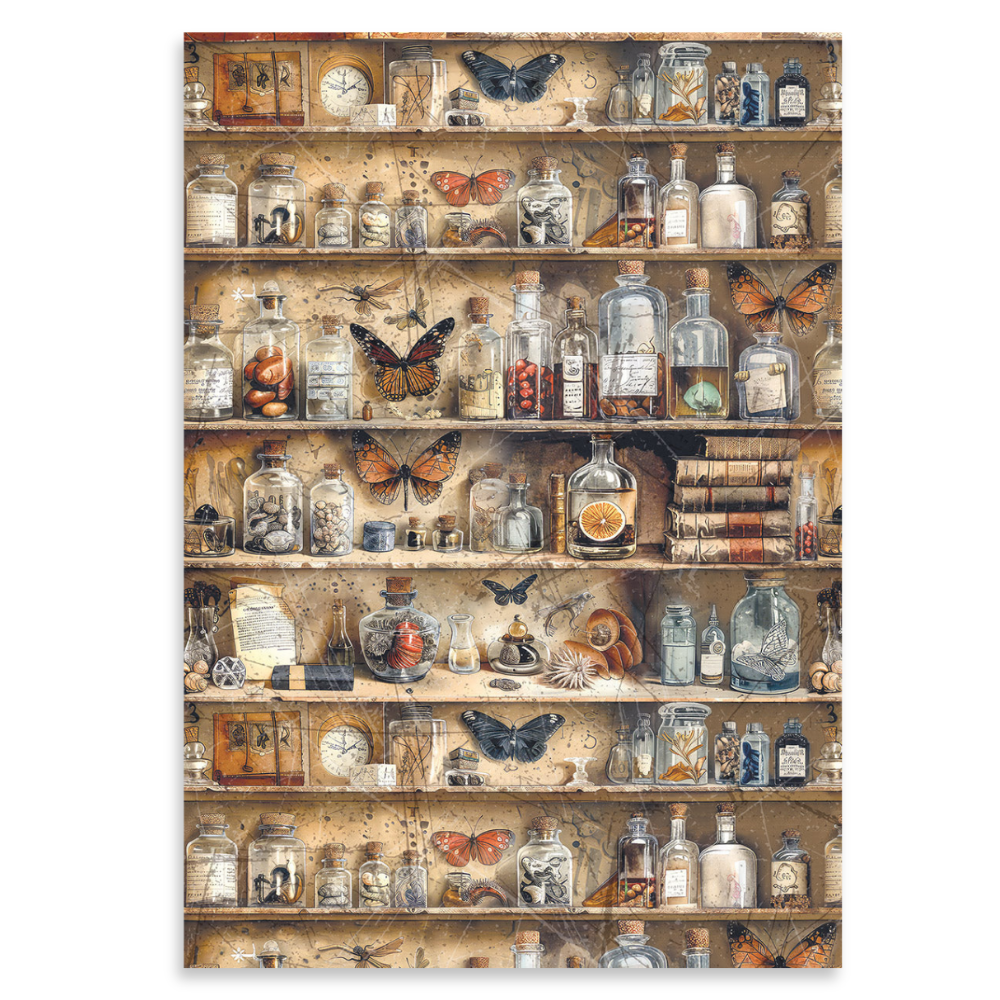 Cabinet of Curiosities A5 Mixed 8pk Rice Paper