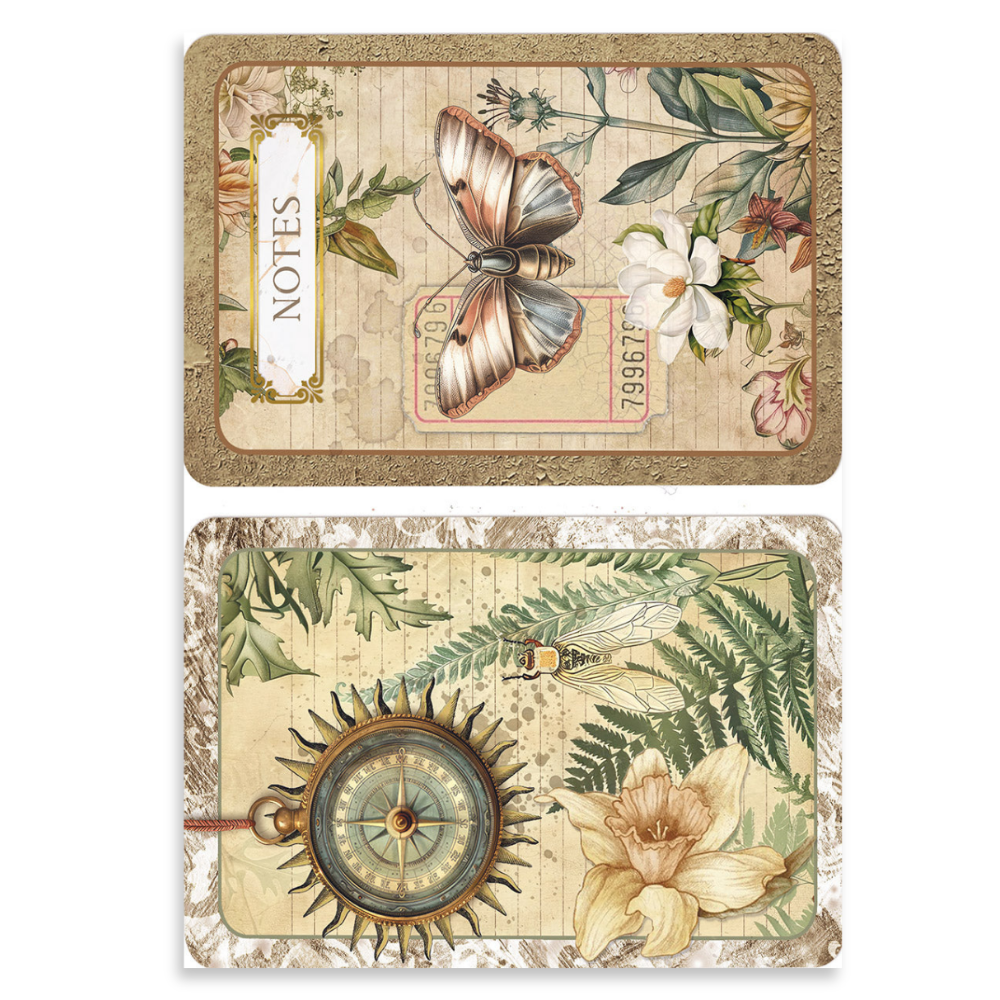 Cabinet of Curiosities A5 Mixed 8pk Rice Paper