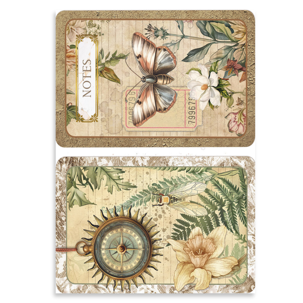 Cabinet of Curiosities A5 Mixed 8pk Rice Paper