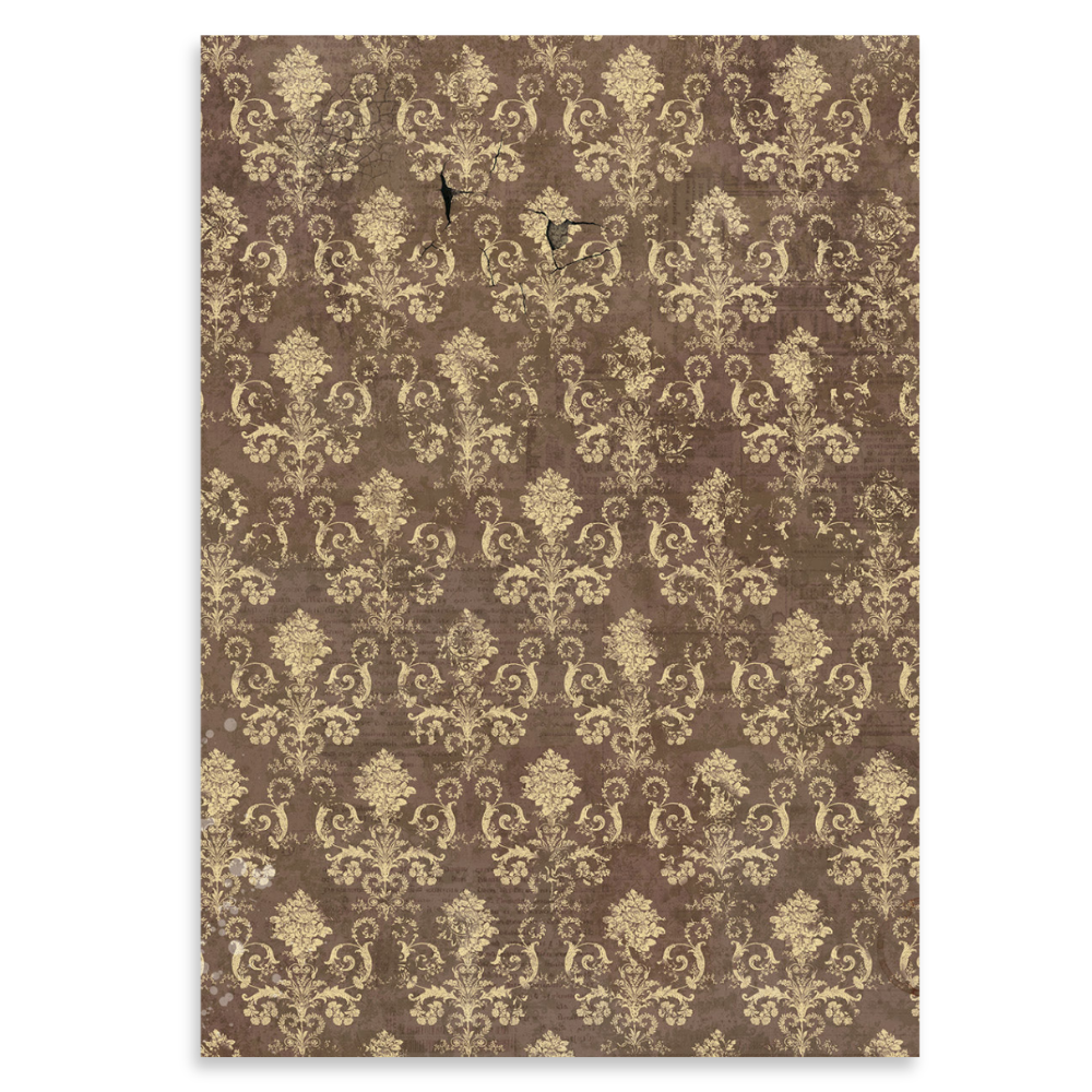 Cabinet of Curiosities A5 Mixed 8pk Rice Paper