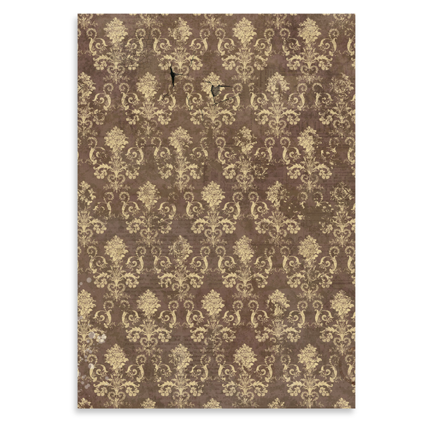 Cabinet of Curiosities A5 Mixed 8pk Rice Paper