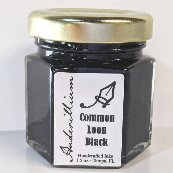 Encre noire du Plongeon huard