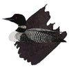 Encre noire du Plongeon huard