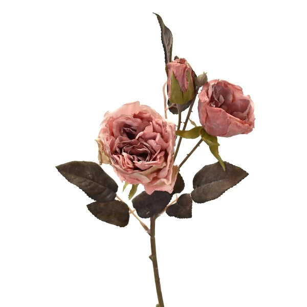 Rose séchée sauvage | Faux vaporisateur 17