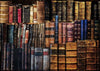 Dusty Library Rice Paper {multiple sizes}