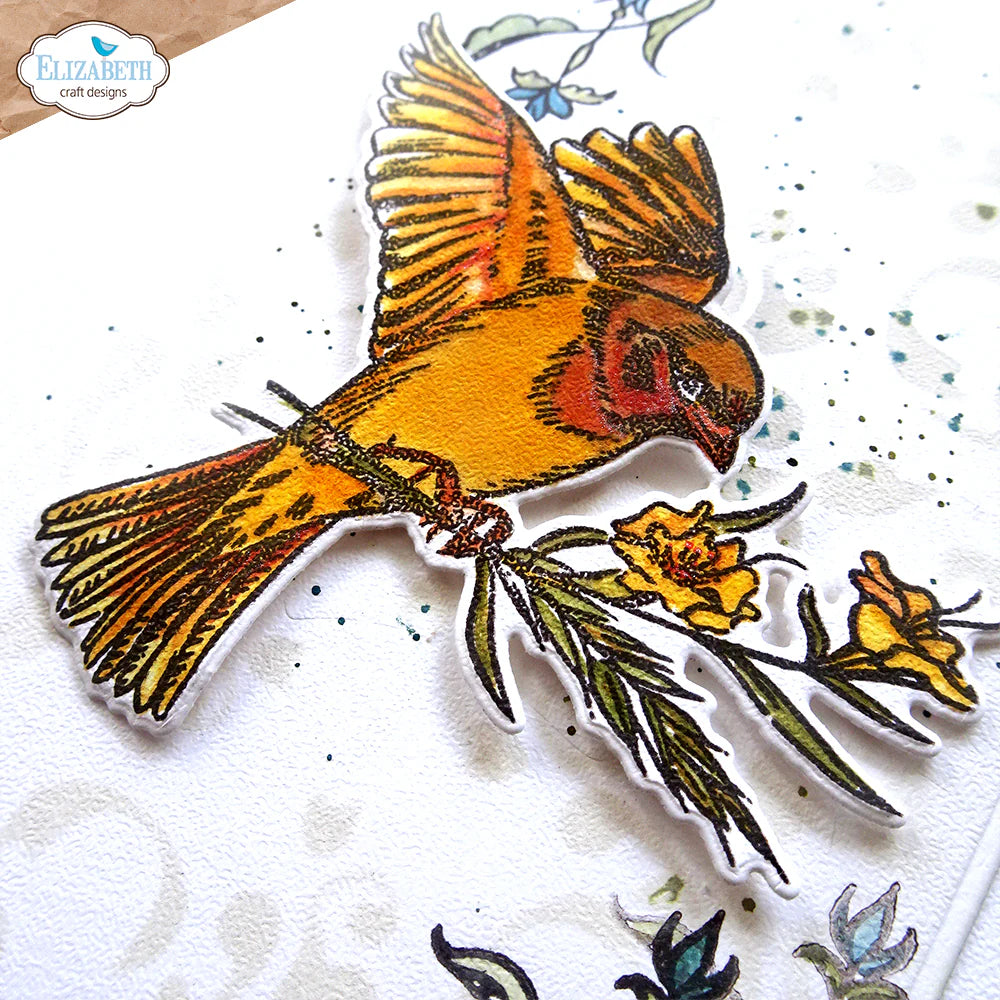 A Dream is a Wish Stamp + Die Set {clearance}