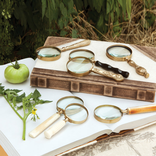 Magnifying Glasses {multiple styles}