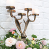 Eric Candelabra