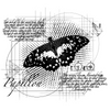 Papillon Dreams Rubber Stamp | Andy Skinner
