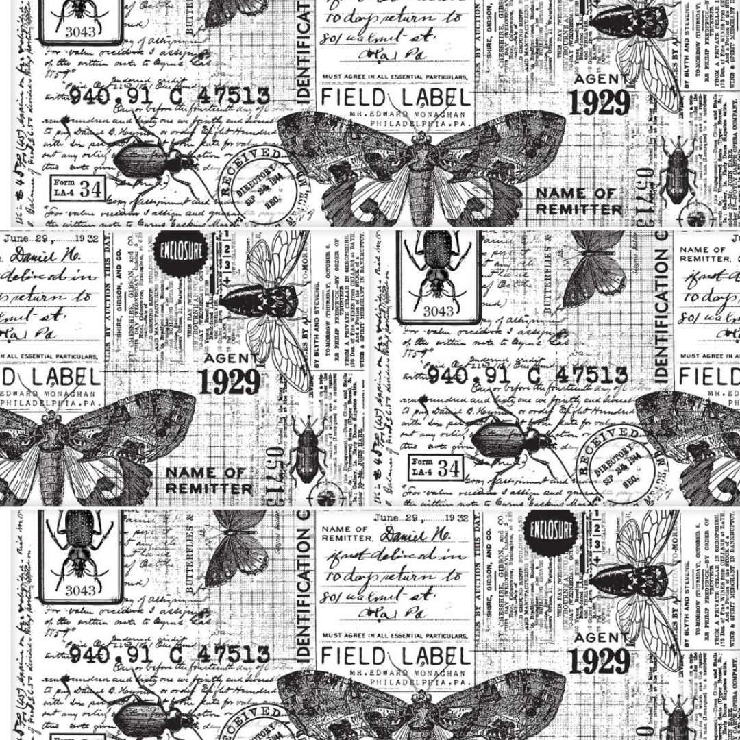Entomology Collage Paper | Idea-ology