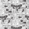 Entomology Collage Paper | Idea-ology