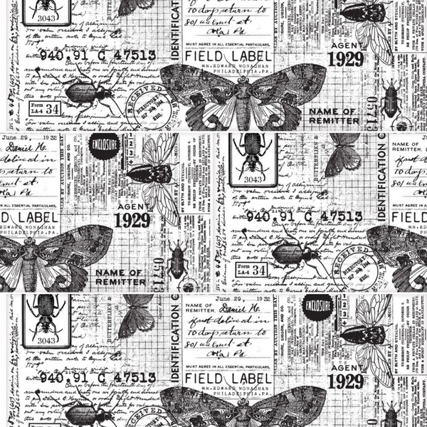 Entomology Collage Paper | Idea-ology