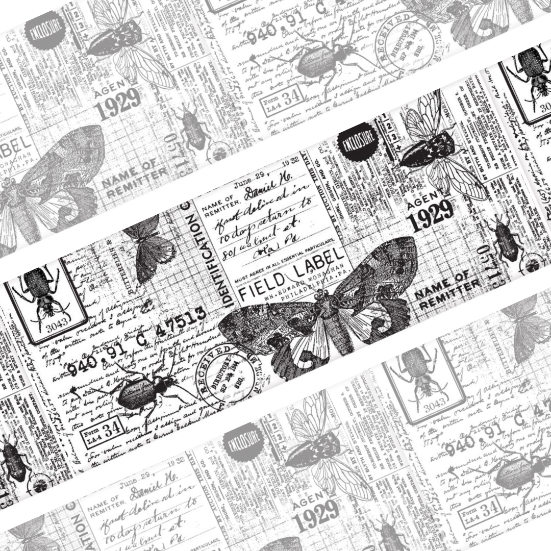 Entomology Collage Paper | Idea-ology