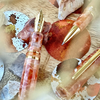 Estie Petrified Forest {Limited Edition}