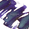 Frankenstein Fountain Pen Ink | Mary Shelley