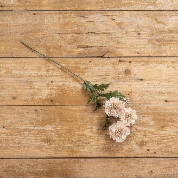 Crème d'Automne 25,5" Scabiosa Spray