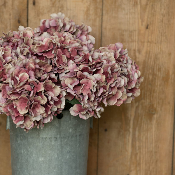 Tige d'hortensia 28" mauve d'automne