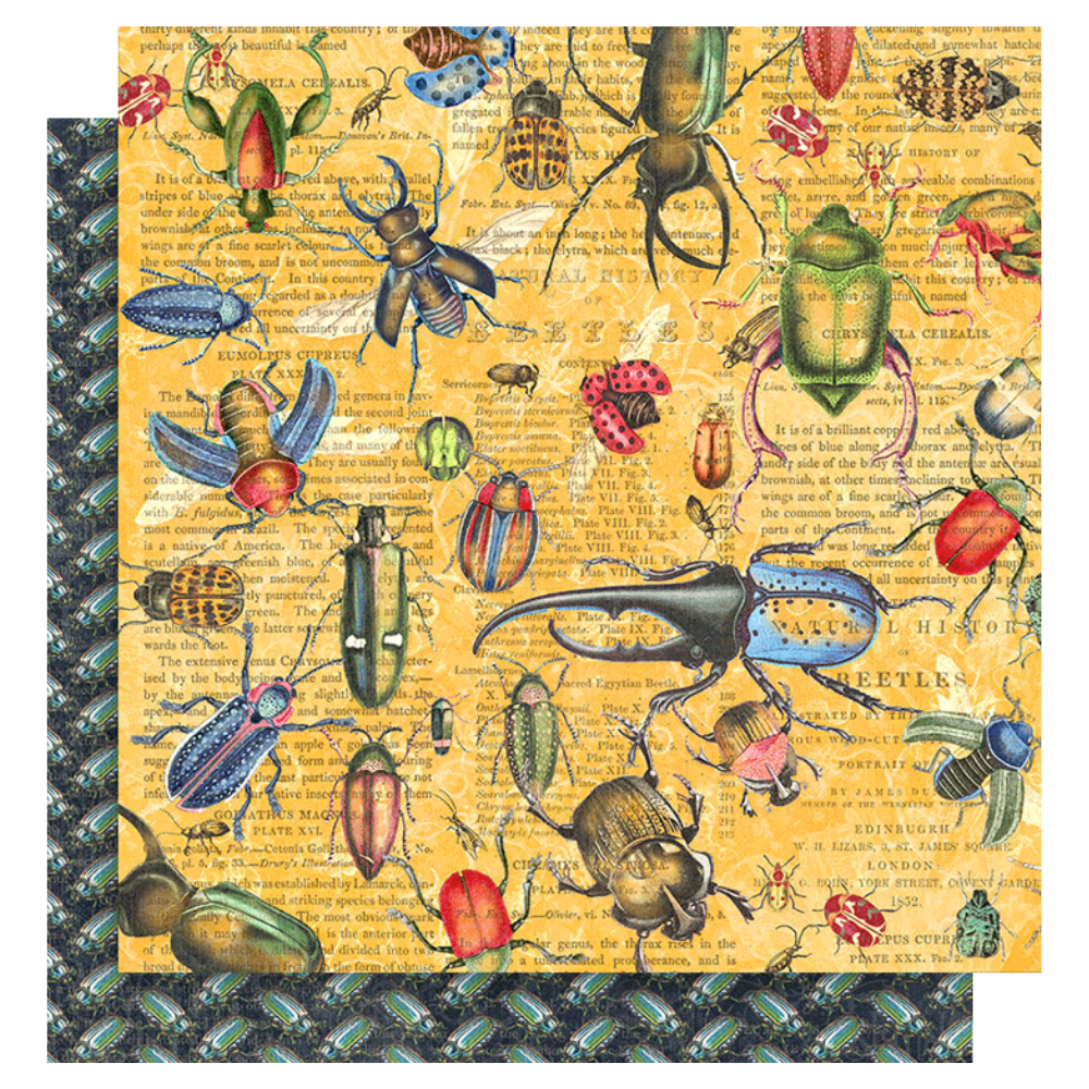 Flutter 12x12 Keepsake Quarterly Kit with Exclusive Metal Die Set {clearance}