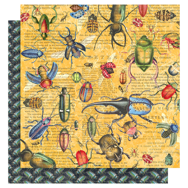 Flutter 12x12 Keepsake Quarterly Kit with Exclusive Metal Die Set {clearance}