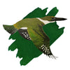 Encre verte de martin-pêcheur vert