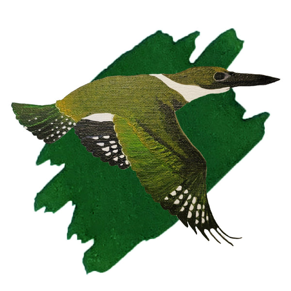 Encre verte de martin-pêcheur vert