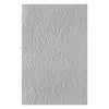 Crackled Paint 3D Embossing Folder | Beautifully Imperfect