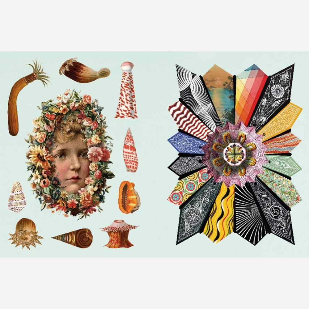 Antiquarian Sticker Book | Imaginarium