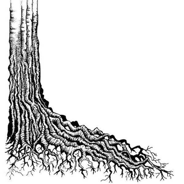 Tree Roots Clear Stamp