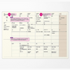 Monthly Calendar A5 Laconic Style Notebook