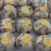 Lemongrass Calendula Bath Bomb {Certified Organic}