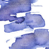 Little Lord Fauntleroy Fountain Pen Ink | Frances Hodgson Burnett