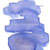 Little Lord Fauntleroy Fountain Pen Ink | Frances Hodgson Burnett
