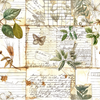 Academia Elements 12x12 Scrapbook Paper | Singles {clearance}