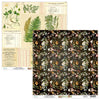 Botany 12x12 Double-Sided Scrapbook Paper | Singles {clearance}