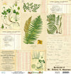 Botany 12x12 Double-Sided Scrapbook Paper | Singles {clearance}